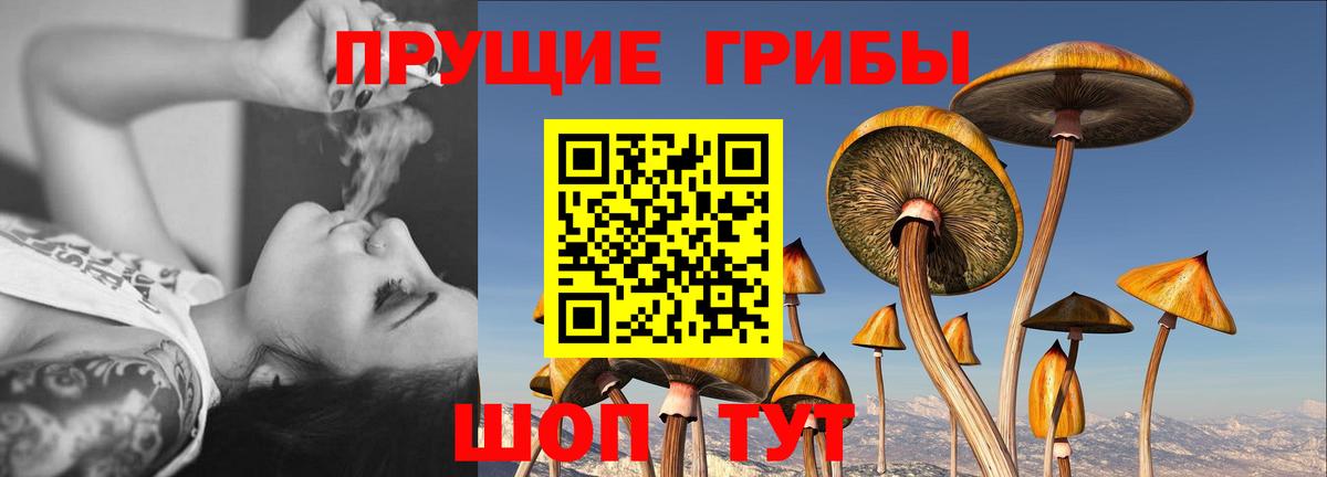 Псилоцибиновые грибы ЛСД  Вход с VPN  Москва 